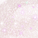 41 Rosy Glares