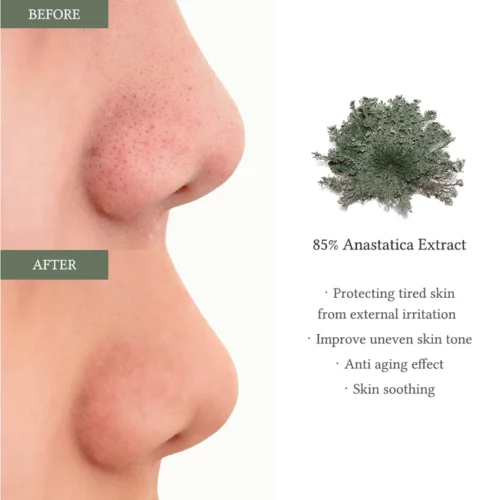 Alternative view of Dr. Althea Anastatica Skin Conditioning Pad attīrošas plāksnītes sejai