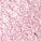 40 Metallic Ballerina Rose